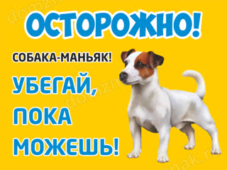 maniac dog)) humor jokes