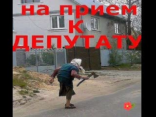 they are fed with your money) humor jokes