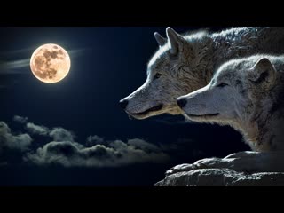 fantasy drama at night comes wolves 2021