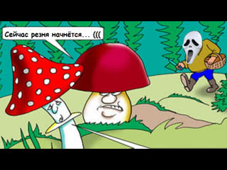 mushrooms humor funny