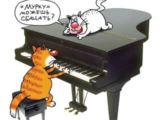 four-legged pianist humor funny