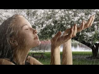 spring rain sings egor denisevich