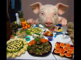 put the pig at the table humor funny