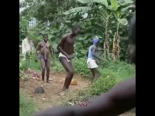 dances of the peoples of africa tumbu-lulumbu funny