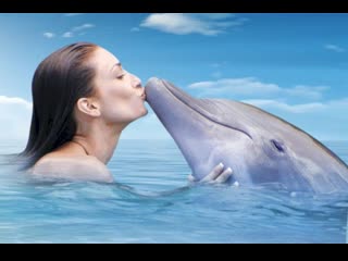 dolphin asks for kisses positive