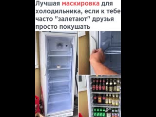 refrigerator disguise