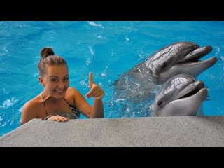 dolphin helps funny positive