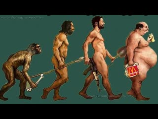 humor culprit of evolution queue humor funny