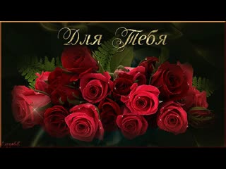 these roses are for you