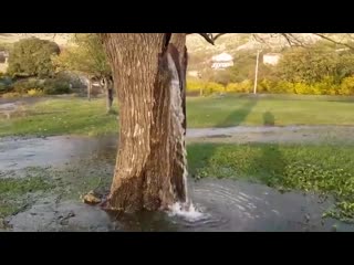 unique natural phenomenon in dinosha village, montenegro