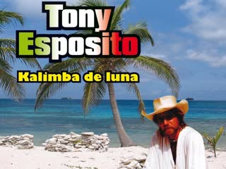 tony esposito moon kalimba 1984