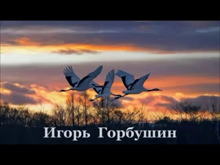 cranes  . . igor gorbushin. .  awesome song for the soul