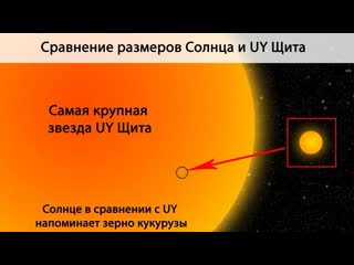 the largest star in the uy shield universe, 5 billion times the sun in volume