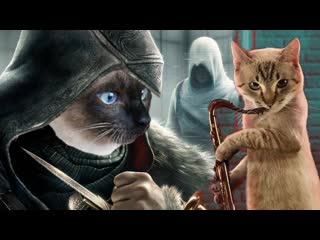 assassins creed kittens, evil kitties