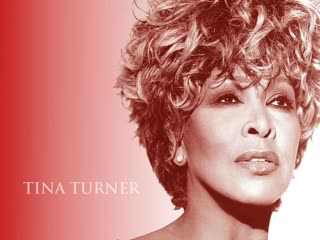 tina turner something beautiful remains