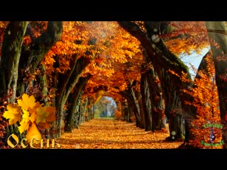 good autumn evening music video card for friends